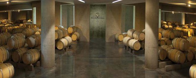 DiamAndes Perlita Malbec-Syrah 2012, Mendoza Argentina