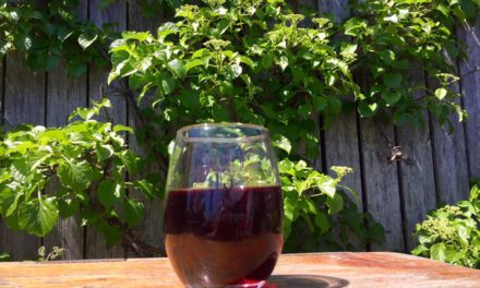 Wine Tasting at Nantucket Vineyard – Cisco Brewers, Nantucket