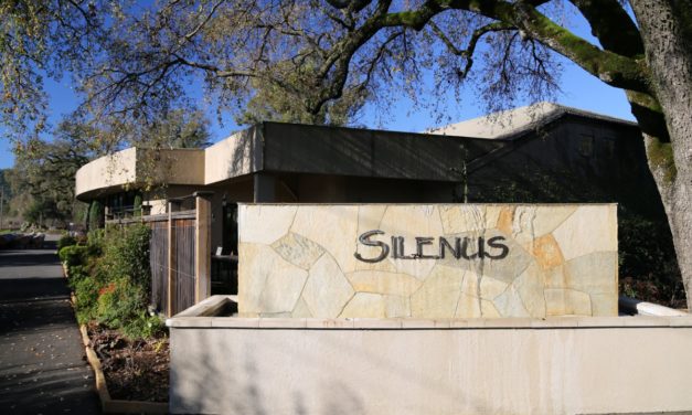 Jana Sauvignon Blanc 2015, Napa valley – Silenus Winery