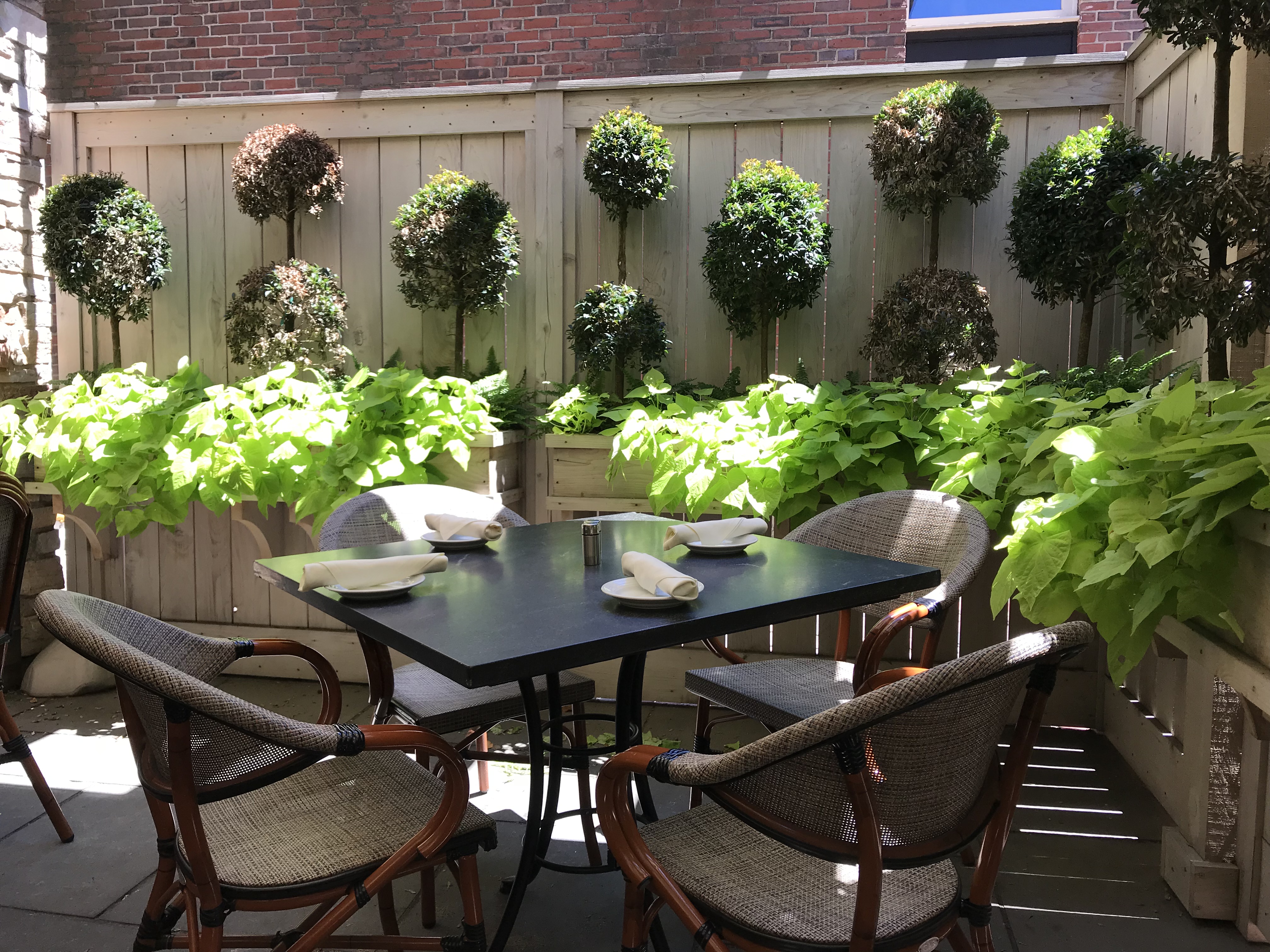 Harvard square best sale outdoor dining