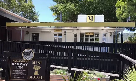 Fab Dish Friday: Model Bakery’s English Muffins